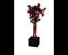 - Z - Bamboo Plant