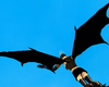 True Black Demon Wings