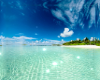 Tropical Summer Bg