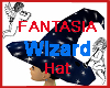 Fantasia Wizard Hat