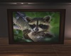 Cute raccoon framed