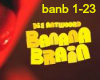 ANTWOORD: Banana Brain 2