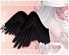 Angel Wings |Black