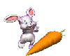 *PP Bunny Carrot Love