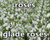 Effect Glade Roses