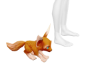 *Anim* Fox Pet NFT
