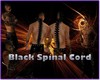 Black Spinal Cord