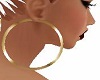 Gold Hoop Earrings BIG