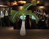 Desert Oasis Palm 1