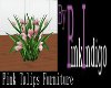 PI - Pink Tulips
