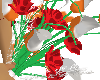 fiori