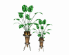 CP ISLAND POTTED PLANT