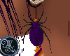 (MSis)Purple Spider