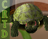 Pet Turtle