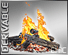 {T} Bonfire Animated