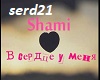 Shami-V serdce U Menya