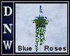 blue hanging roses