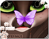 [Pets]Binky|butterfly v2