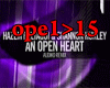 An Open Heart Mix
