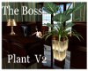 The  Plant V2