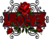 Love Roses