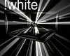 !K White Disco Light