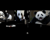 TK! Panda Club