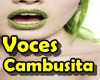 VOCES CAMBU 5