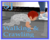 Benji Walking & Crawling