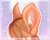 琴. Corgi ears V1