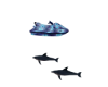jetski ride