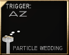 PARTICLES RICE WEDDING