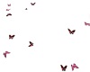 Pink n Black butterflies