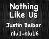 Nothing Like Us