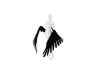 EDEN Wings