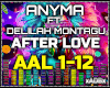 Anyma - After Love