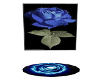 blue rose web radio