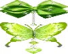 farfalla verde