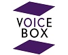 My VoiceBox 40