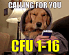 Calling for you