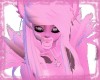 Pink Paw (F)