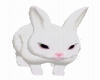 (M) Rabbit