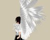 Silver Wings (GR)