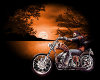 Harley Davidson Pic 6