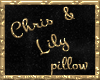 Chrics n lily pillow
