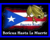 Coqui Puerto Rico