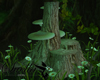 S= trunk mushroom Fairy