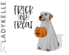 LK| Trick or Treat Dog