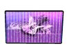 Guitar Art 4