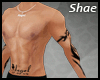 xSx Bicep Enhancer